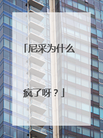 尼采为什么疯了呀？