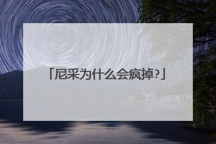 尼采为什么会疯掉?