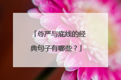 尊严与底线的经典句子有哪些?
