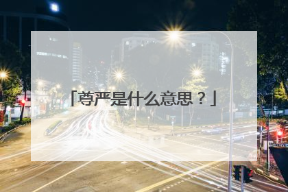 尊严是什么意思?