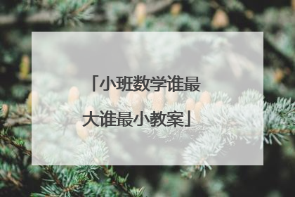 小班数学谁最大谁最小教案