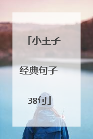 小王子经典句子38句