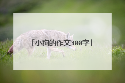 小狗的作文300字