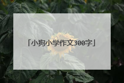 小狗小学作文300字