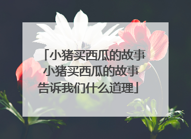 小猪买西瓜的故事 小猪买西瓜的故事告诉我们什么道理