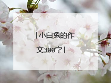 小白兔的作文300字