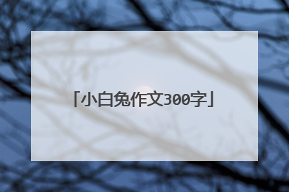 小白兔作文300字