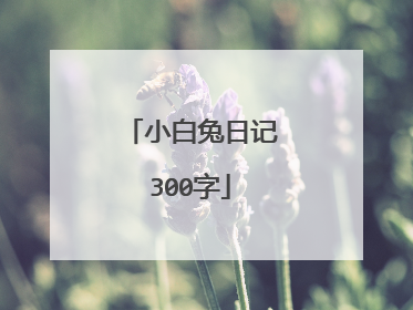小白兔日记300字