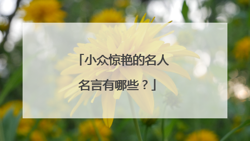 小众惊艳的名人名言有哪些？