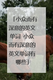 小众而有深意的英文单词 小众而有深意的英文单词有哪些