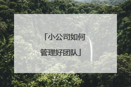 小公司如何管理好团队