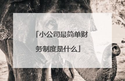 小公司最简单财务制度是什么