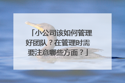 小公司该如何管理好团队？在管理时需要注意哪些方面？