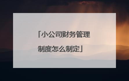 小公司财务管理制度怎么制定