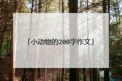 小动物的200字作文