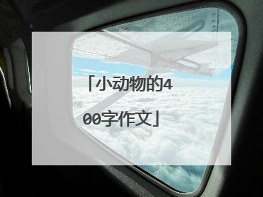 小动物的400字作文