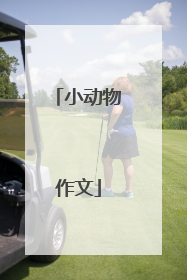 小动物作文