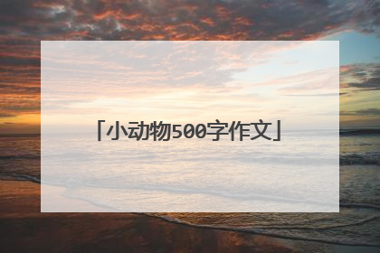 小动物500字作文