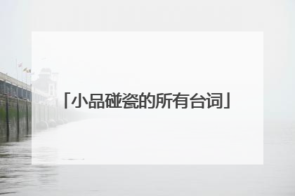 小品碰瓷的所有台词