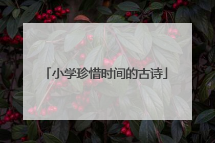 小学珍惜时间的古诗