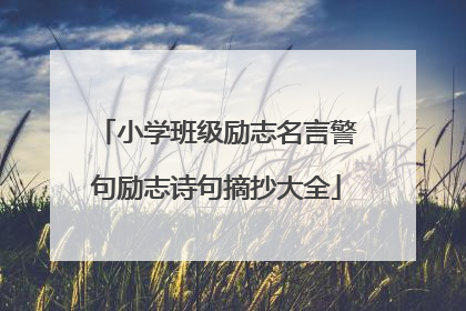 小学班级励志名言警句励志诗句摘抄大全