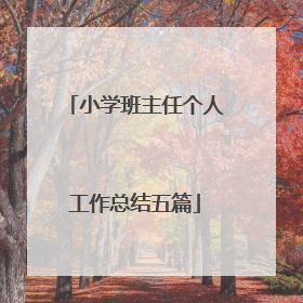 小学班主任个人工作总结五篇