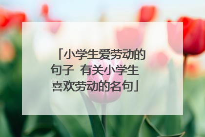 小学生爱劳动的句子 有关小学生喜欢劳动的名句
