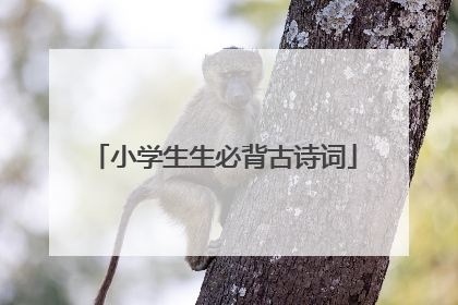 小学生生必背古诗词