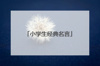 小学生经典名言
