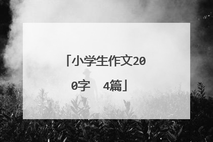 小学生作文200字  4篇