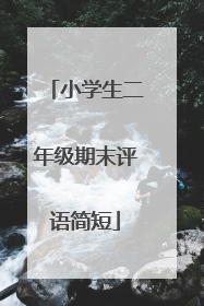 小学生二年级期末评语简短