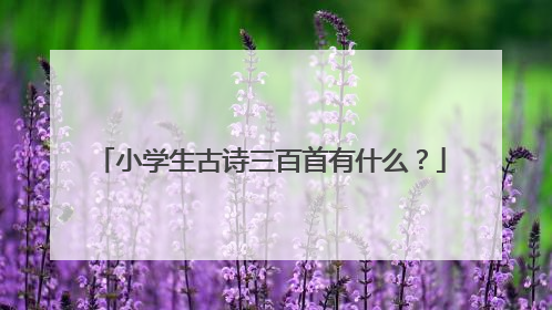 小学生古诗三百首有什么?