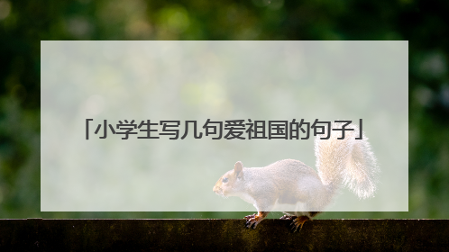 小学生写几句爱祖国的句子