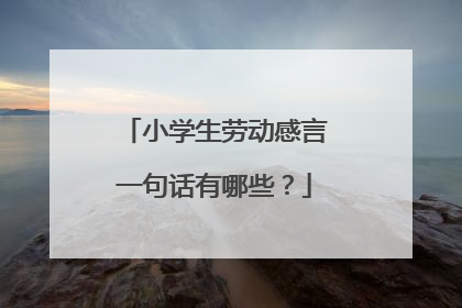 小学生劳动感言一句话有哪些？