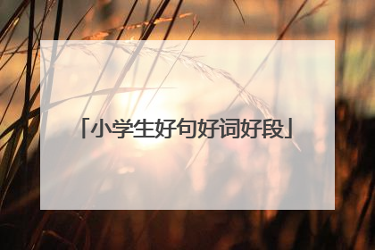 小学生好句好词好段