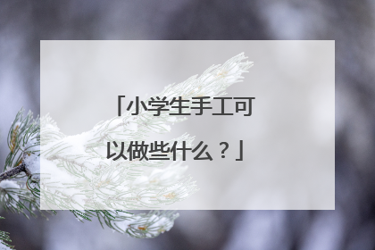 小学生手工可以做些什么？