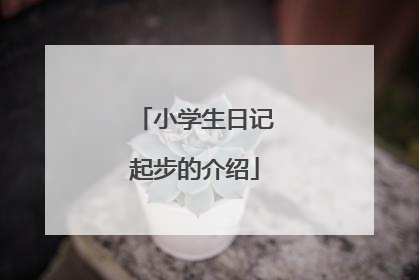 小学生日记起步的介绍
