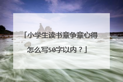 小学生读书章争章心得怎么写50字以内？