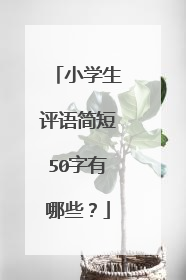 小学生评语简短50字有哪些？