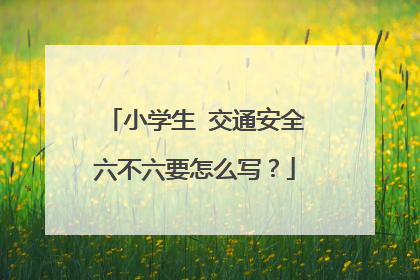 小学生￼交通安全六不六要怎么写？