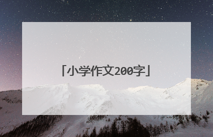 小学作文200字