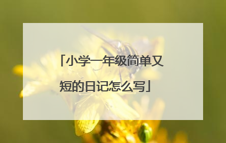 小学一年级简单又短的日记怎么写