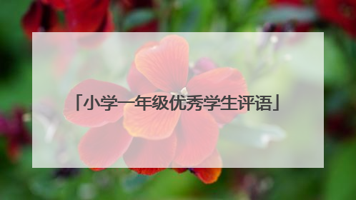 小学一年级优秀学生评语