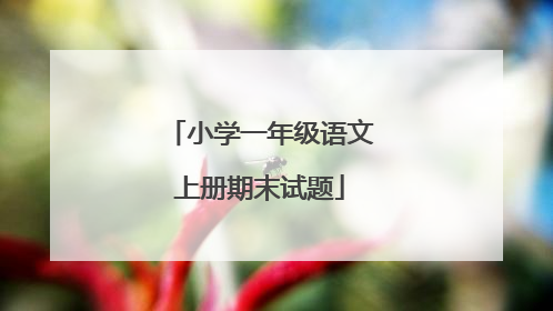 小学一年级语文上册期末试题