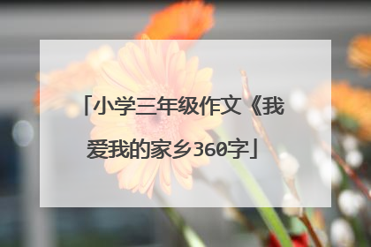 小学三年级作文《我爱我的家乡360字