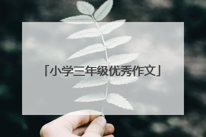 小学三年级优秀作文