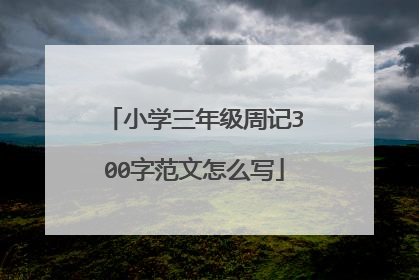 小学三年级周记300字范文怎么写