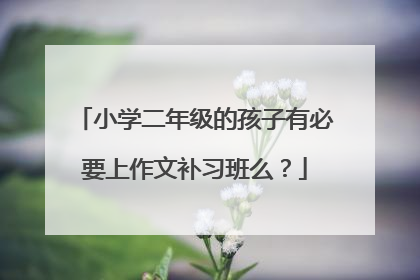 小学二年级的孩子有必要上作文补习班么？