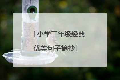 小学二年级经典优美句子摘抄