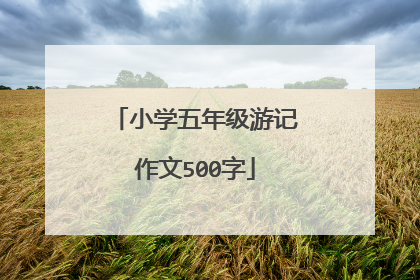 小学五年级游记作文500字